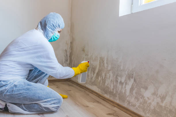Mold inspector in Mount Sinai performing thermal imaging